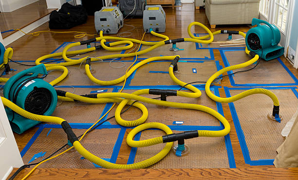 Professional Flood Damage Restoration technician working in Continental, OH